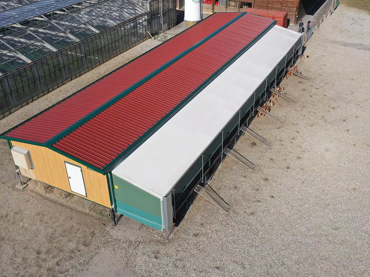 Kylling oppdrett - Optimale bygg og løsninger