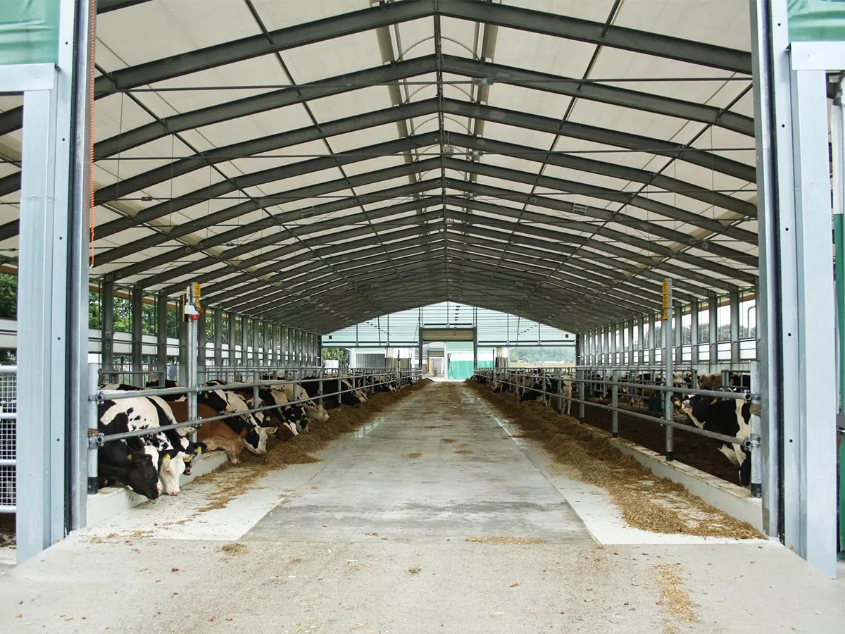 Melkeproduksjon - Optimale bygg og løsninger