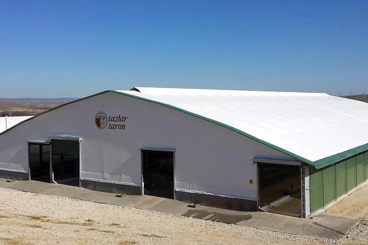 Melkeproduksjon - Optimale bygg og løsninger