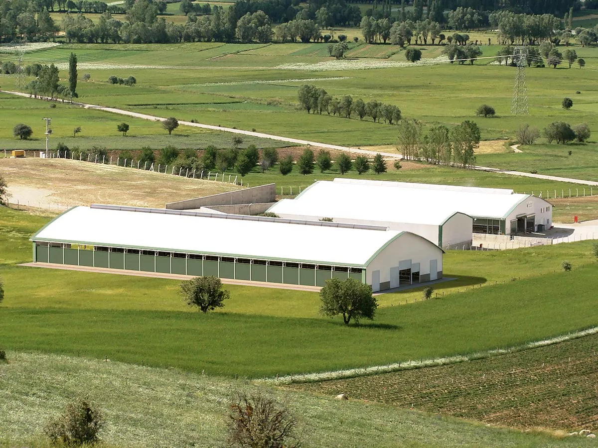 Melkeproduksjon - Optimale bygg og løsninger