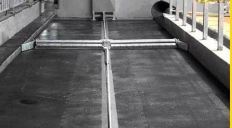 Gummi matter - Dyrevelferd