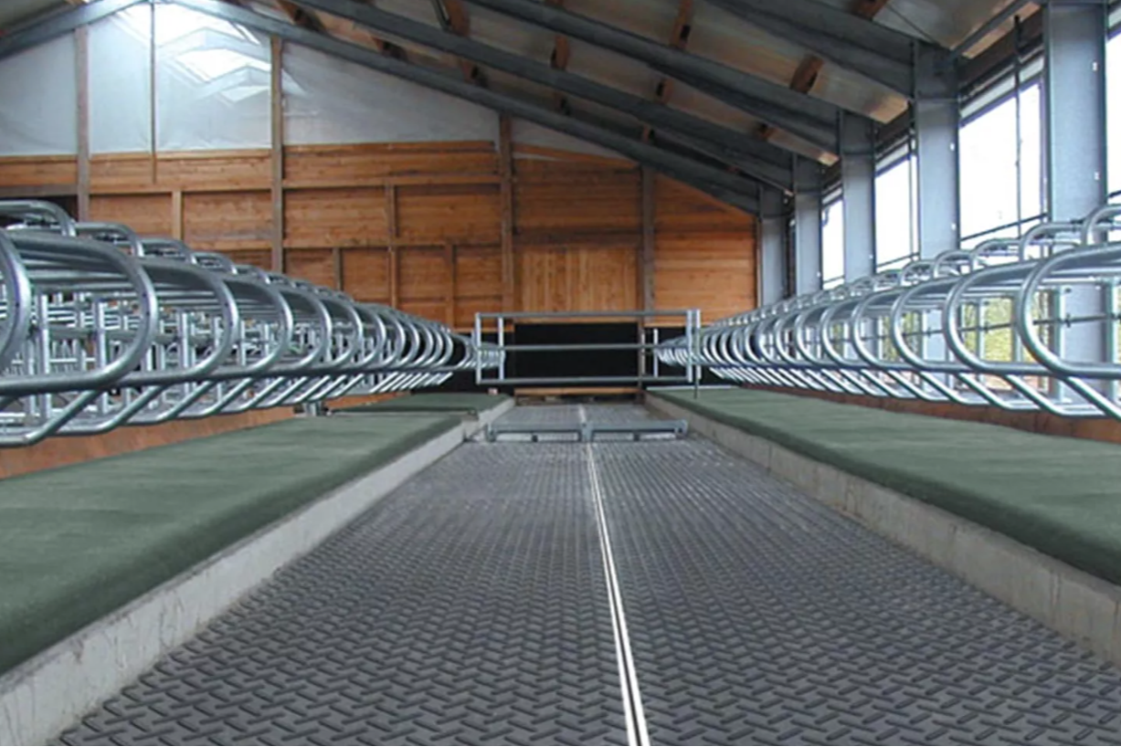 Gummi matter - Dyrevelferd