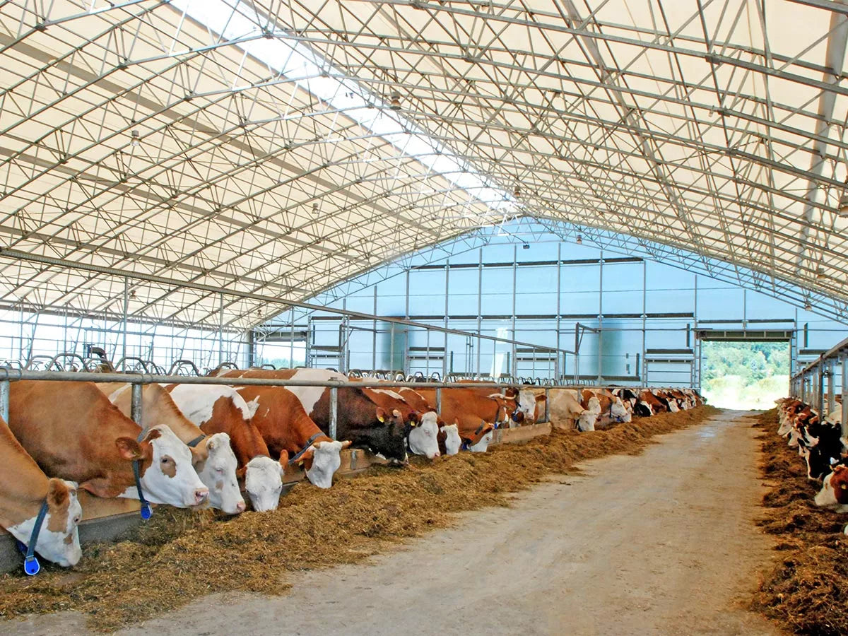 Driftsbygning — maskinhall og lagerbygg i landbruk og industri