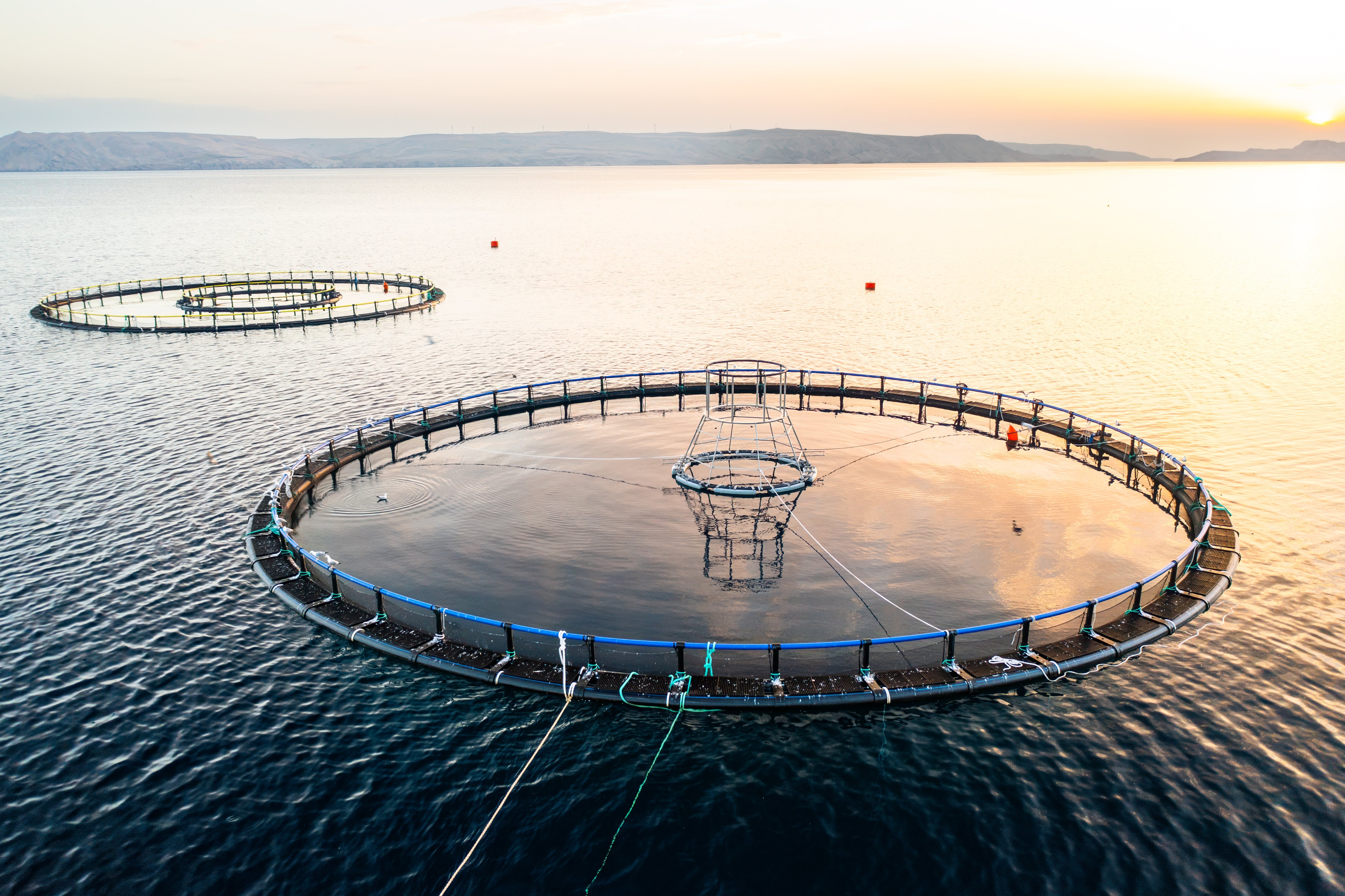 🌊 Løsninger for moderne havbruk – Skreddersydd for effektiv drift