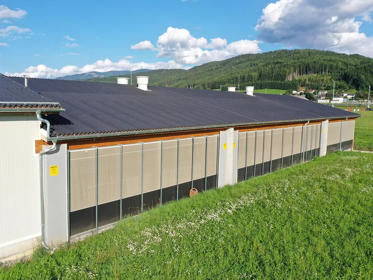 Kylling oppdrett - Optimale bygg og løsninger