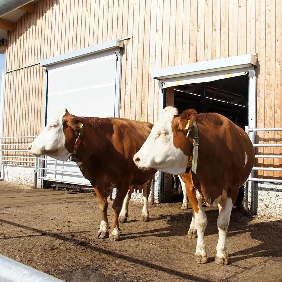 Rip Roll up dør - WST7