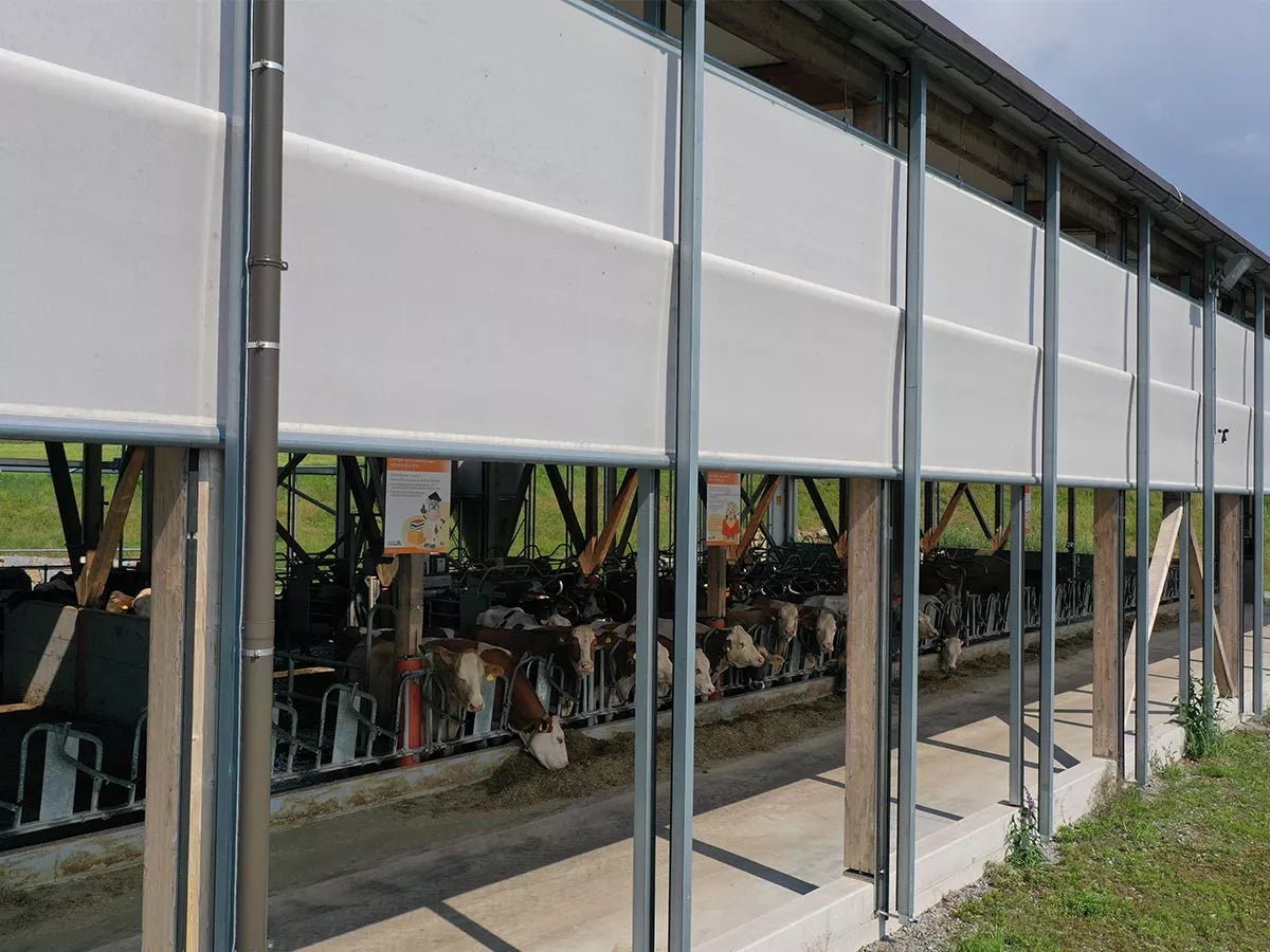 Vind beskyttelses system 5